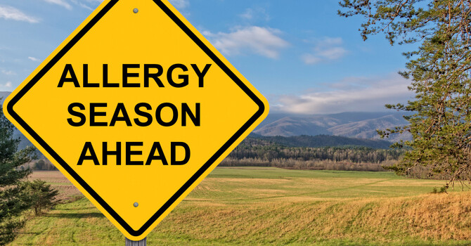 Preparing For The Inevitable; Seasonal Allergies image