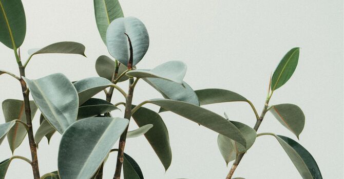 Integrative Medicine