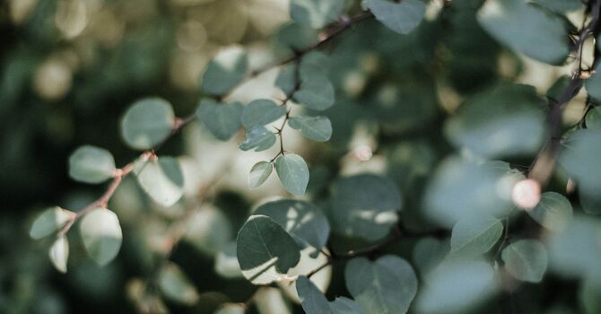 Understanding the UV Index & SPF: What You Really Need to Know Before Stepping Into the Sun. image